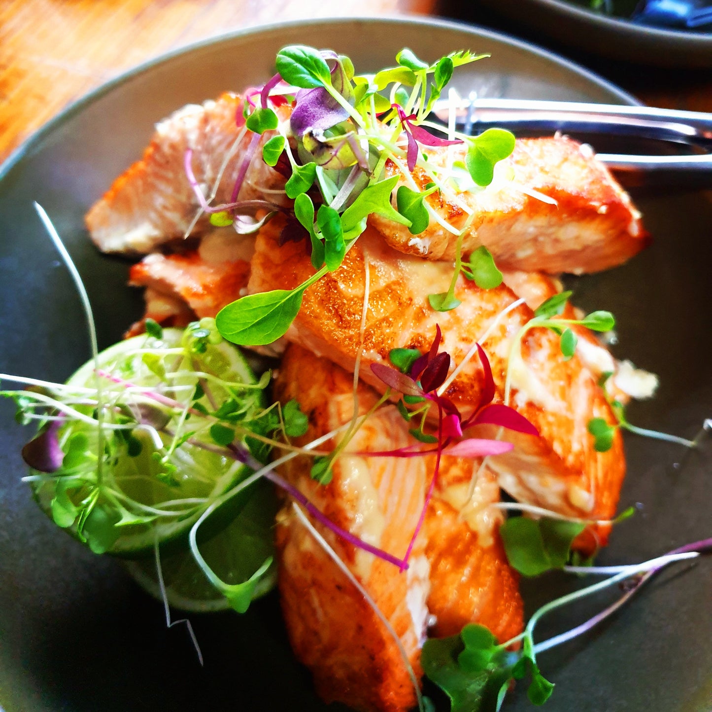 Atlantic Salmon