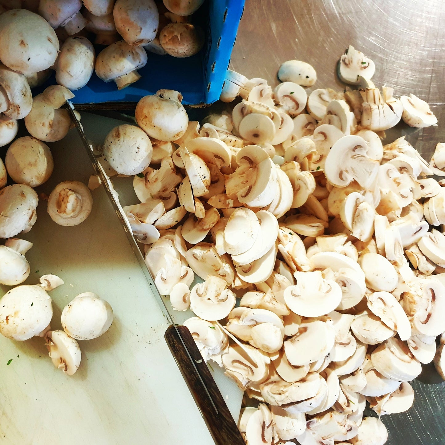 Creamy Chicken & Mushroom