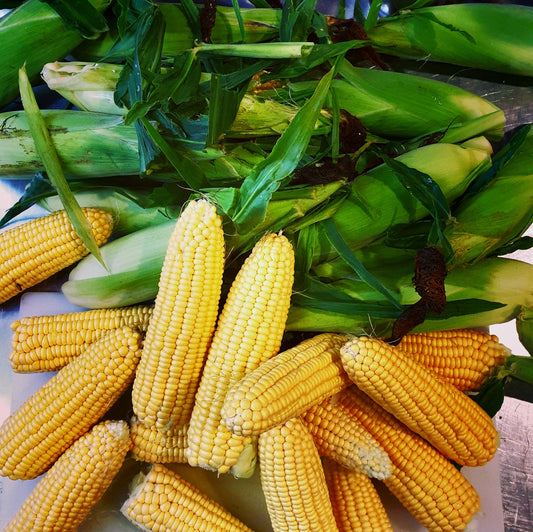 Chicken and Corn Soup